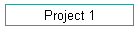 Project 1